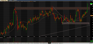 Arvind Daily